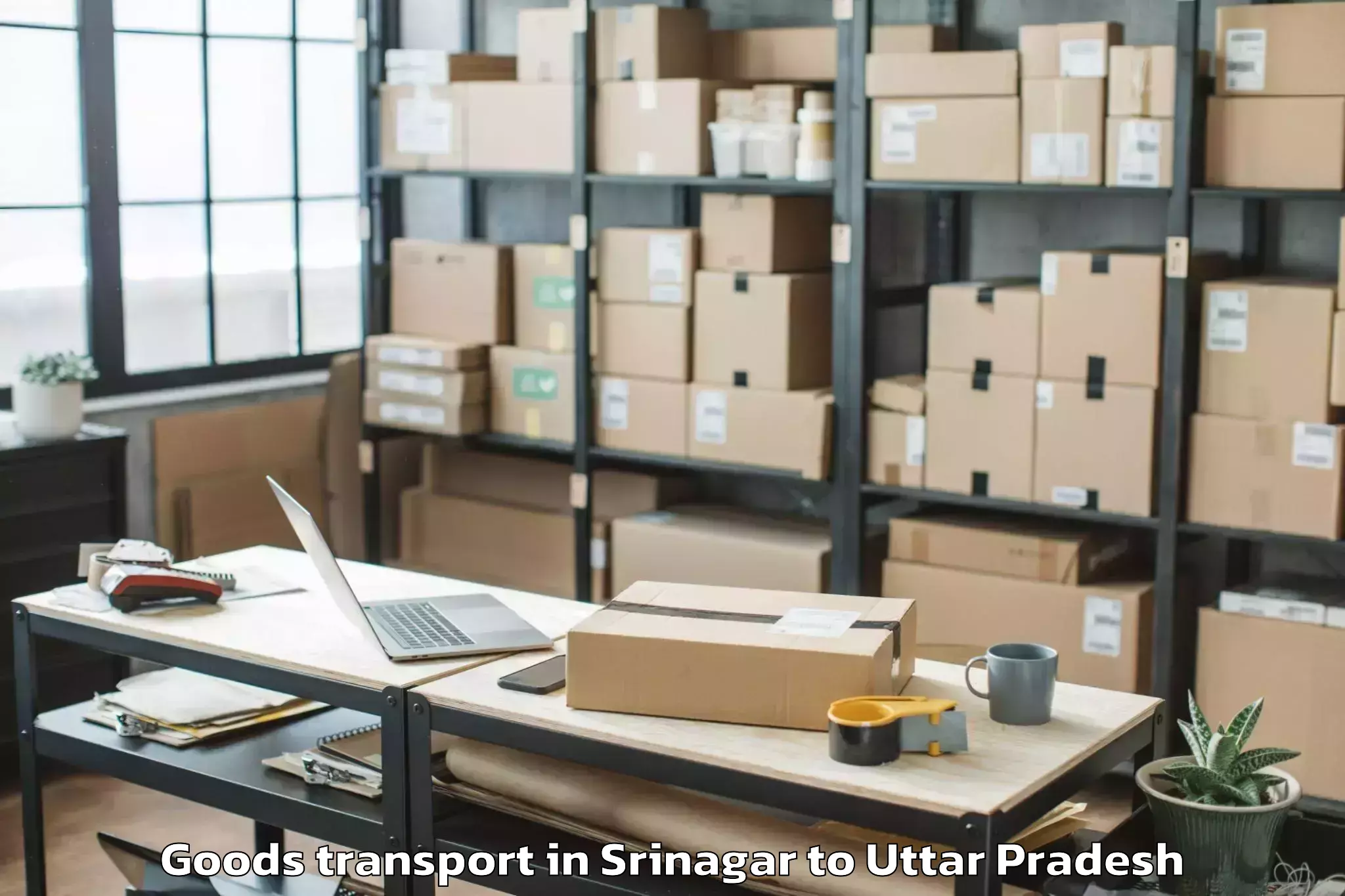 Easy Srinagar to Khurja Goods Transport Booking